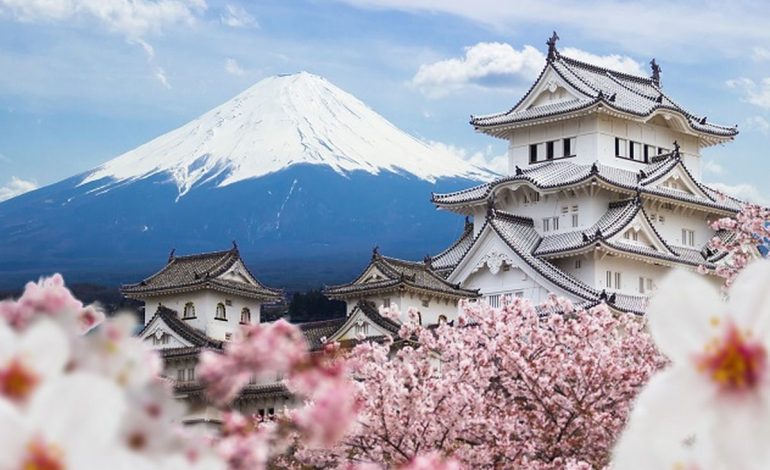 Oleh-Oleh Makanan Khas Jepang yang Wajib Dibawa Pulang